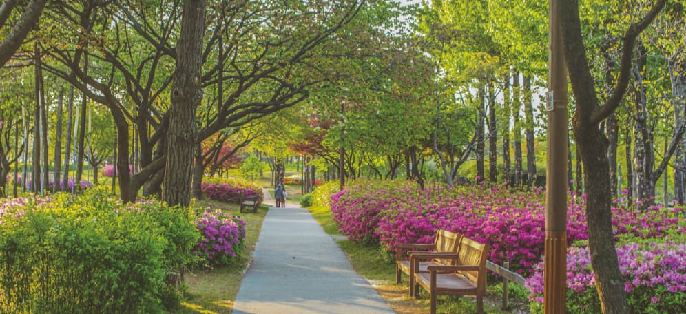 가운데 산책로와 벤치가 보이는 선유도공원 전경 이미지입니다.