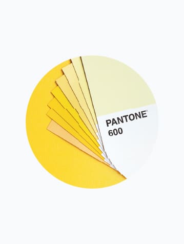 다양한 색감의 노란색 종이와 "PANTONE 600"이라는 문구가 적혀있습니다.